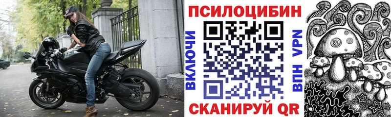 что такое наркотик  мориарти телеграм  Галлюциногенные грибы прущие грибы  Морозовск  KRAKEN ТОР 