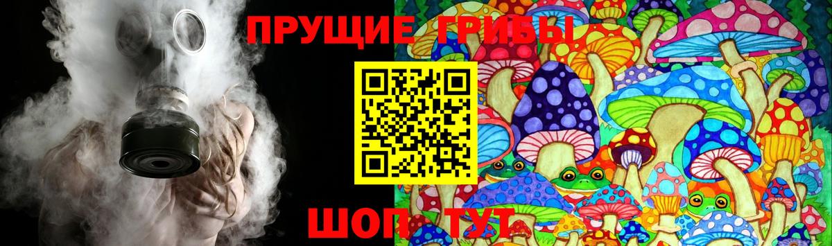 Галлюциногенные грибы Magic Shrooms  Морозовск 