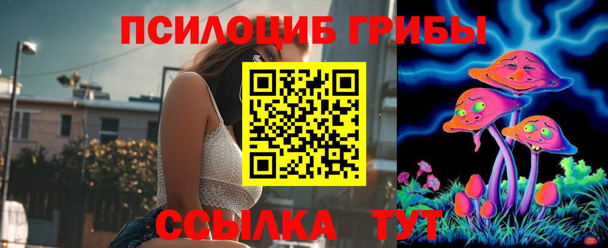 Галлюциногенные грибы Psilocybe Морозовск