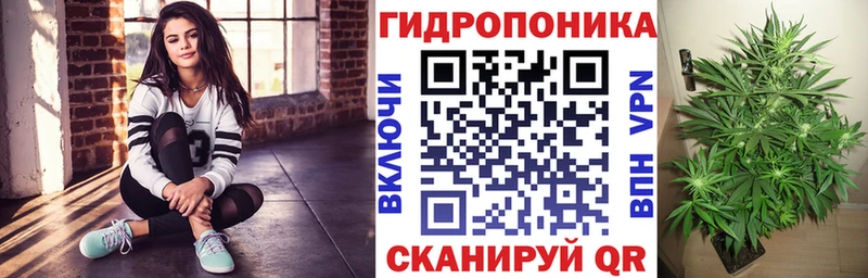это наркотические препараты  Морозовск  Конопля ГИДРОПОН 